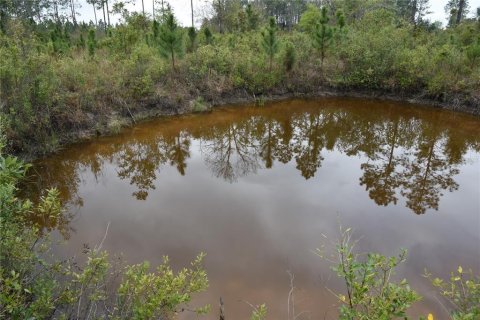 Terreno en venta en Gainesville, Florida № 1608297 - foto 9