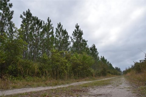 Terreno en venta en Gainesville, Florida № 1608297 - foto 11