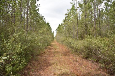 Terreno en venta en Gainesville, Florida № 1608297 - foto 18