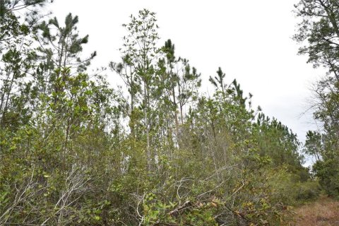 Terreno en venta en Gainesville, Florida № 1608297 - foto 29