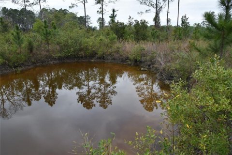 Terreno en venta en Gainesville, Florida № 1608297 - foto 10