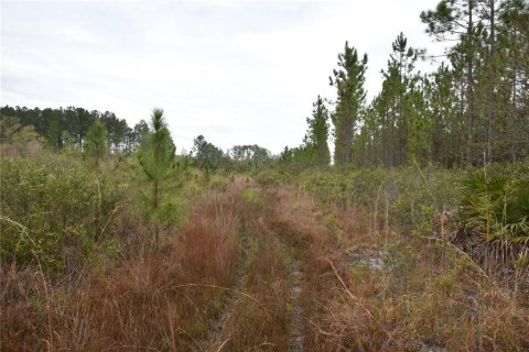 Terreno en venta en Gainesville, Florida № 1608297 - foto 26