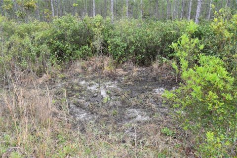 Terreno en venta en Gainesville, Florida № 1608297 - foto 13