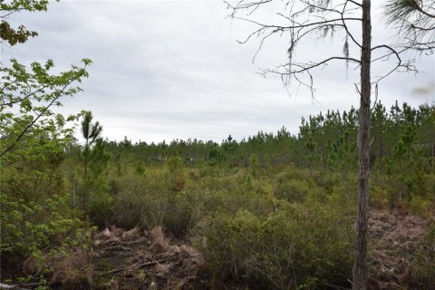 Купить земельный участок в Гейнсвилл, Флорида № 1608297 - фото 22