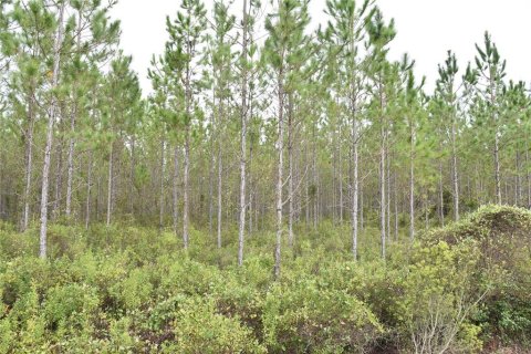 Terreno en venta en Gainesville, Florida № 1608297 - foto 15