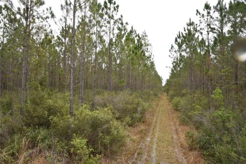 Terreno en venta en Gainesville, Florida № 1608297 - foto 5