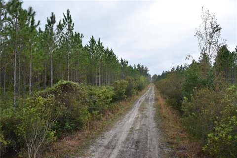 Terreno en venta en Gainesville, Florida № 1608297 - foto 1