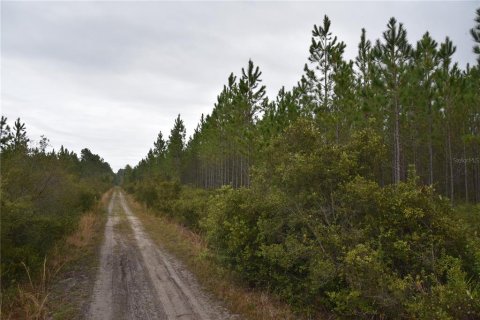 Terreno en venta en Gainesville, Florida № 1608297 - foto 17