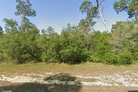 Terreno en Ocala, Florida № 2104321