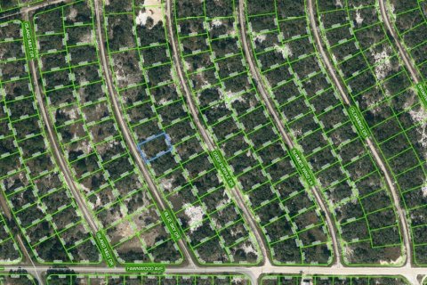 Land in Lake Placid, Florida № 2209282