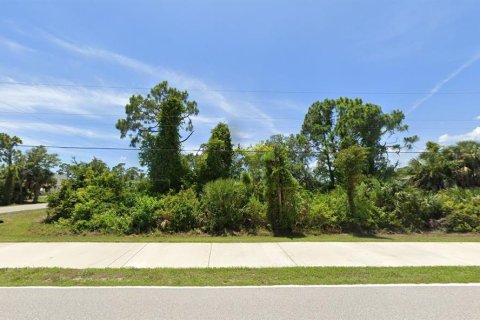 Land in Port Charlotte, Florida № 2206925 - photo 3