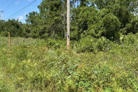 Land in Palatka, Florida № 1288412 - photo 13