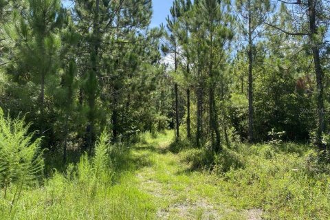 Land in Palatka, Florida № 1288412 - photo 14