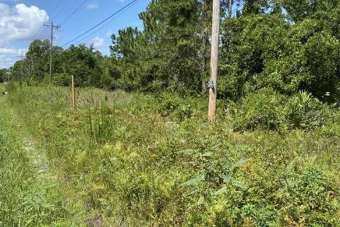 Land in Palatka, Florida № 1288412 - photo 8