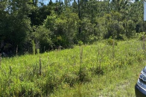 Land in Palatka, Florida № 1288412 - photo 10