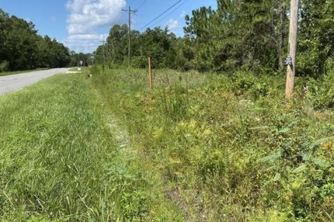 Land in Palatka, Florida № 1288412 - photo 5