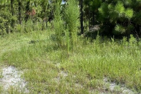 Land in Palatka, Florida № 1288412 - photo 16