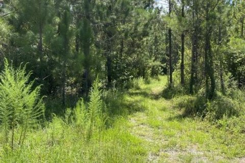 Land in Palatka, Florida № 1288412 - photo 4