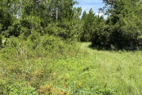 Land in Palatka, Florida № 1288412 - photo 2