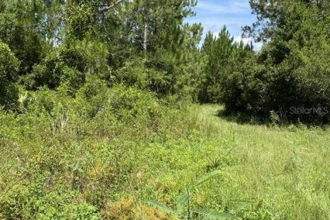 Land in Palatka, Florida № 1288412 - photo 6