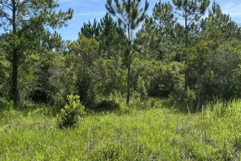 Land in Palatka, Florida № 1288412 - photo 17
