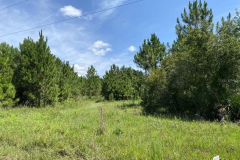 Land in Palatka, Florida № 1288412 - photo 9