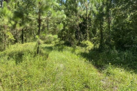 Land in Palatka, Florida № 1288412 - photo 12
