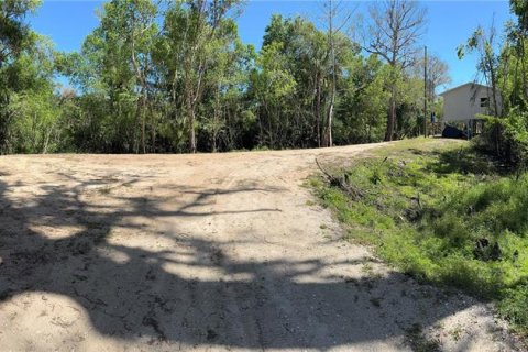 Land in Arcadia, Florida № 1523625 - photo 6