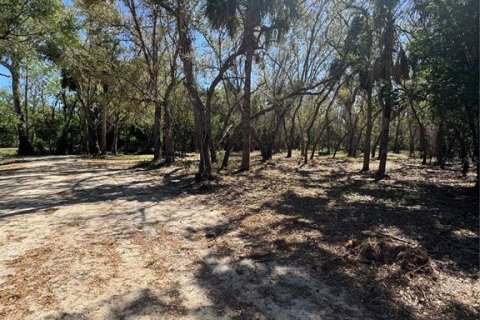 Land in Arcadia, Florida № 1523625 - photo 2