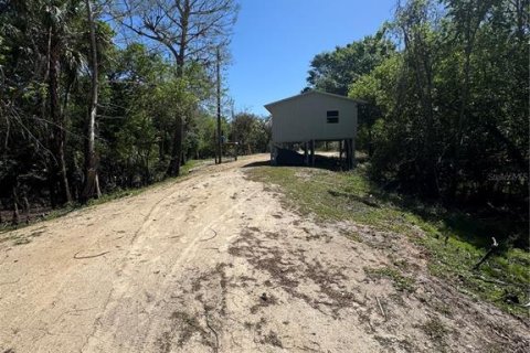 Land in Arcadia, Florida № 1523625 - photo 7