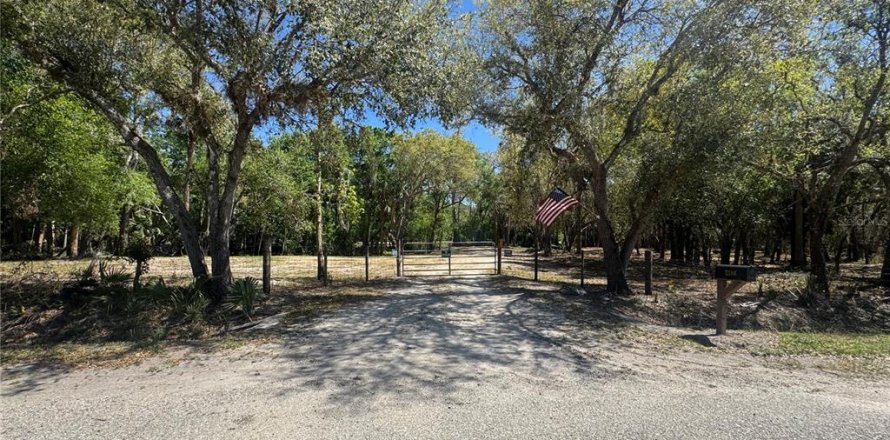 Land in Arcadia, Florida № 1523625