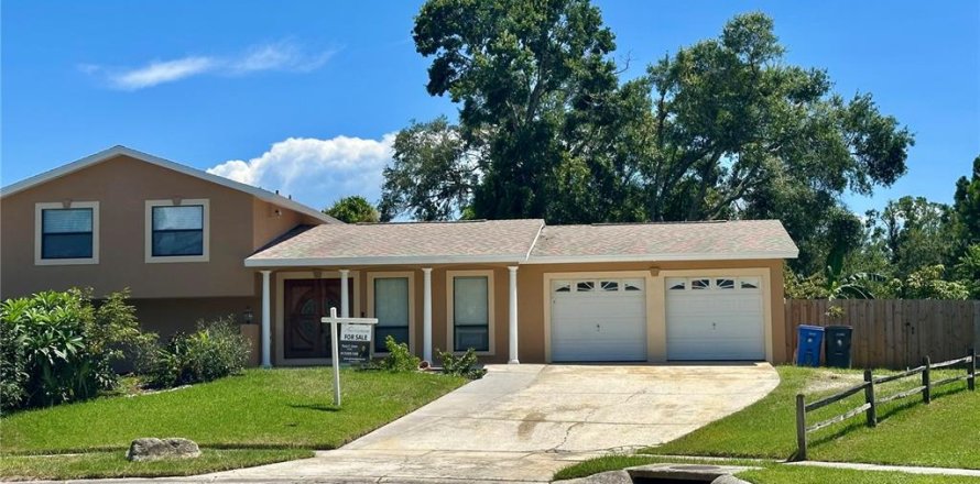 House in Tampa, Florida 4 bedrooms, 183.2 sq.m. № 1866322
