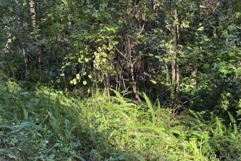 Land in Ocala, Florida № 2162878