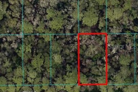 Land in Ocala, Florida № 2162878 - photo 2