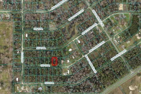 Land in Ocala, Florida № 2162878 - photo 3