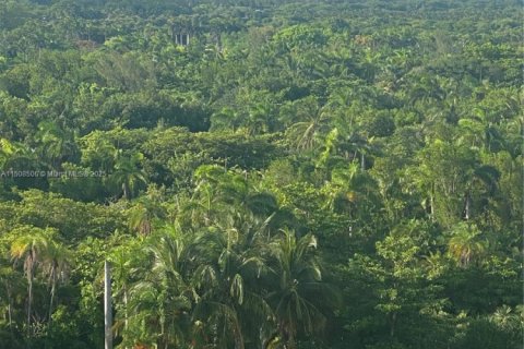 Condo in Key Biscayne, Florida, 2 bedrooms № 1764975 - photo 29