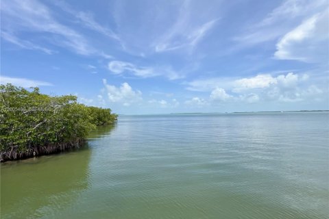 Condominio en venta en Key Largo, Florida, 2 dormitorios, 72.28 m2 № 2071095 - foto 14