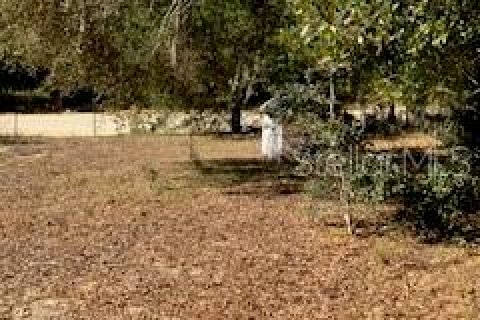 Land in Interlachen, Florida № 2160077 - photo 4