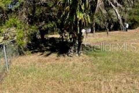 Land in Interlachen, Florida № 2160077 - photo 5