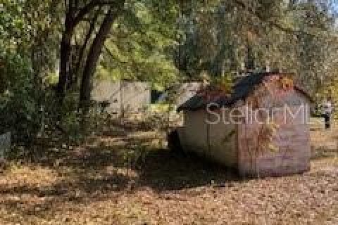 Land in Interlachen, Florida № 2160077 - photo 7