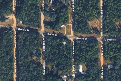 Купить земельный участок в Интерлакен, Флорида № 2226996 - фото 3