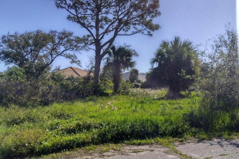 Terreno en venta en Palm Coast, Florida № 1447224 - foto 4