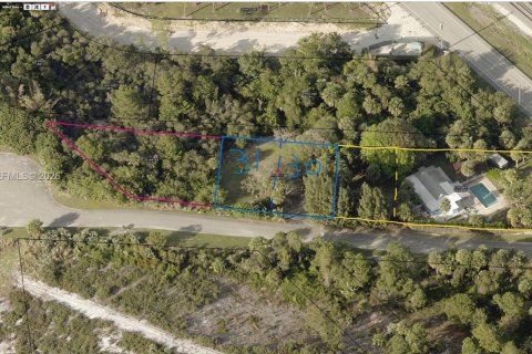 Land in Hobe Sound, Florida № 2079664 - photo 5