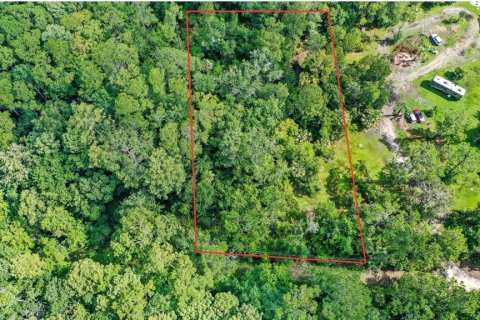 Terreno en venta en Kissimmee, Florida № 1789851 - foto 2
