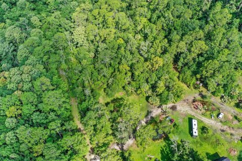 Terreno en venta en Kissimmee, Florida № 1789851 - foto 7