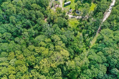 Terreno en venta en Kissimmee, Florida № 1789851 - foto 6
