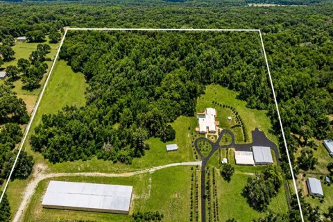 Immobilier commercial à Brooksville, Floride 622.45 m2 № 2094638