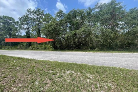 Land in Eustis, Florida № 1774662 - photo 2