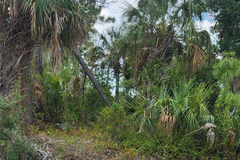 Land in North Port, Florida № 2164530 - photo 2