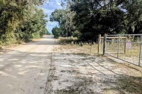 Land in Dunnellon, Florida № 1564528 - photo 5